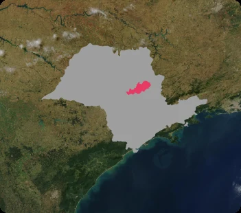Mapa de Nabil pelo estado de SP