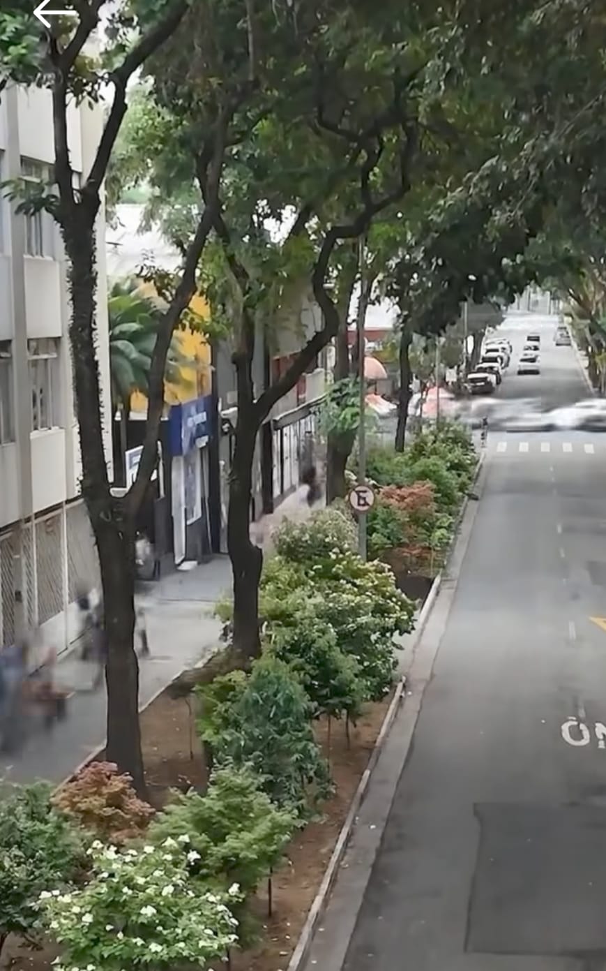 Por que propus a Lei das Vagas Verdes para São Paulo